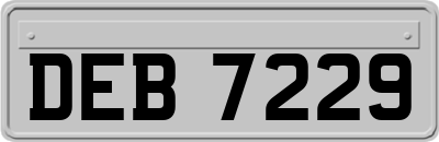 DEB7229