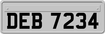DEB7234