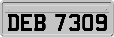 DEB7309