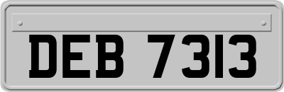 DEB7313
