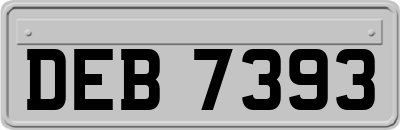 DEB7393
