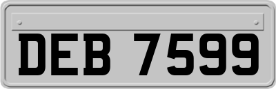DEB7599