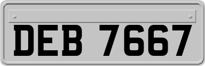 DEB7667