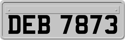 DEB7873