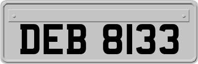 DEB8133