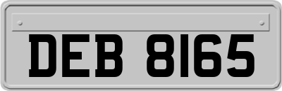 DEB8165
