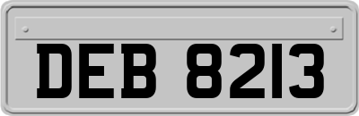 DEB8213