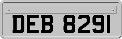 DEB8291