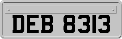 DEB8313