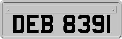 DEB8391