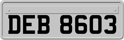 DEB8603