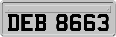 DEB8663