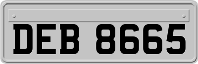 DEB8665
