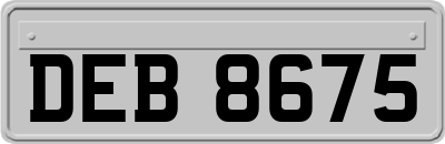 DEB8675