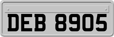 DEB8905