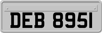 DEB8951