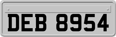 DEB8954