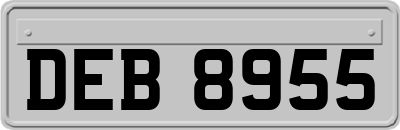 DEB8955