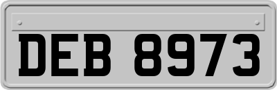 DEB8973