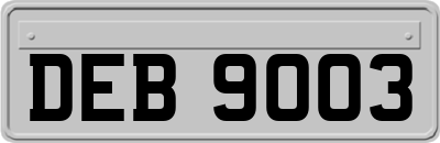 DEB9003