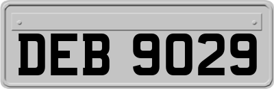 DEB9029