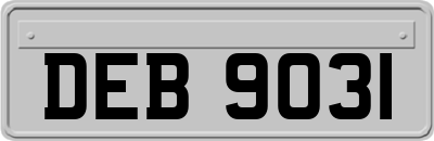 DEB9031