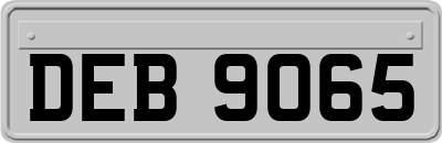 DEB9065