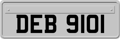 DEB9101