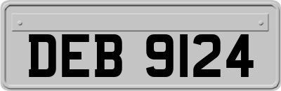 DEB9124