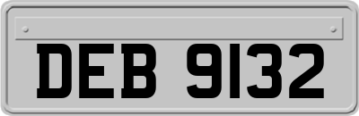 DEB9132