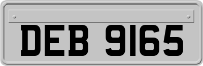 DEB9165