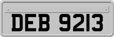 DEB9213