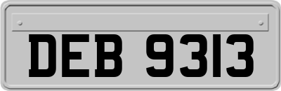DEB9313