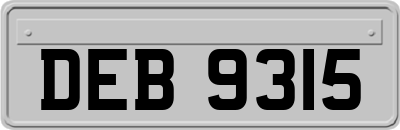DEB9315