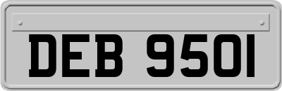 DEB9501