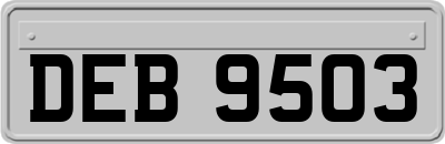 DEB9503