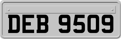 DEB9509
