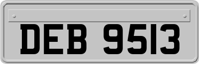 DEB9513