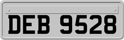 DEB9528