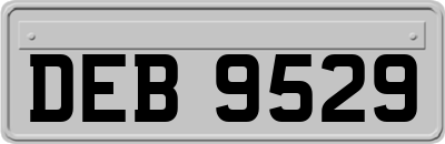 DEB9529