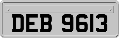 DEB9613