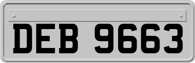 DEB9663