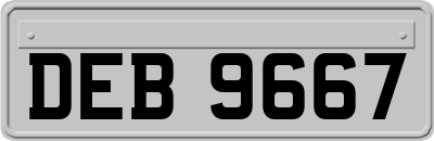 DEB9667