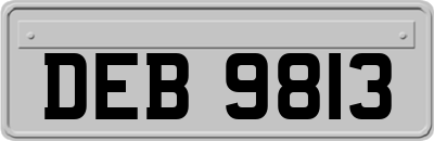 DEB9813