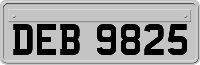 DEB9825