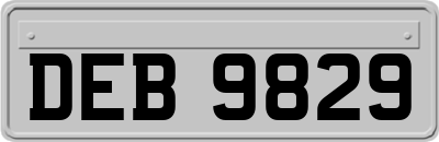 DEB9829