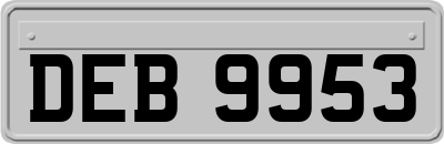DEB9953