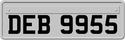 DEB9955