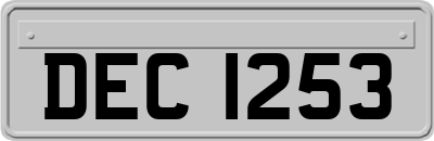 DEC1253