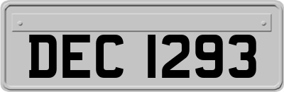 DEC1293